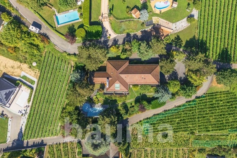 House with swimming pool, surrounded by green fields, aerial view