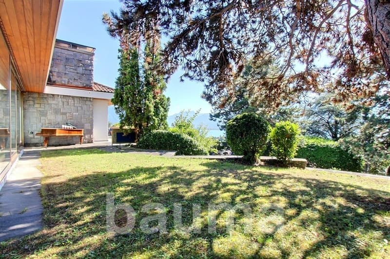 large grassy area, trees, plants, wooden bench, wooden piano, stone wall, glass wall