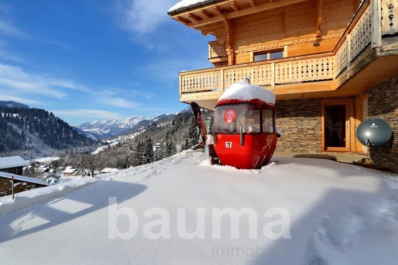 Chalet Capucchione, Les Diablerets (5)