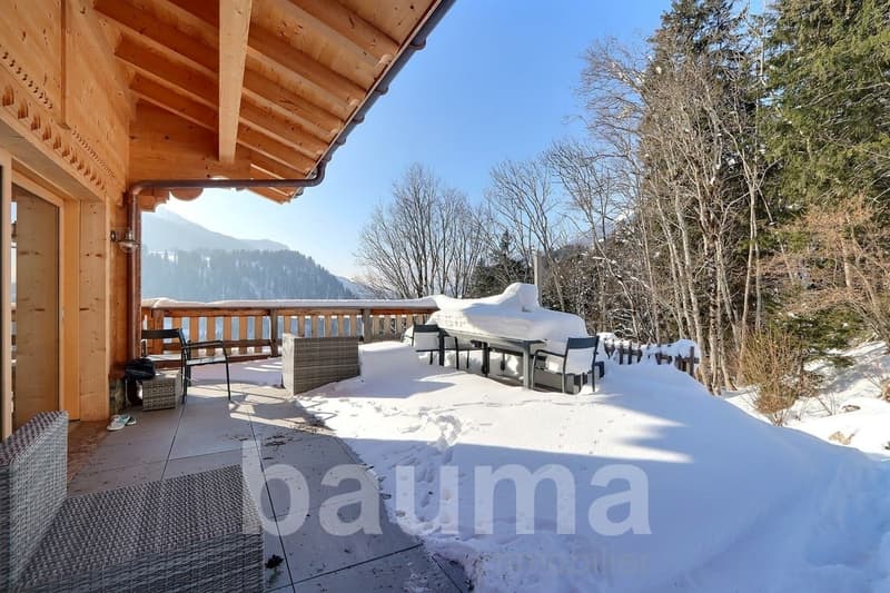 Chalet de deux logements (5)