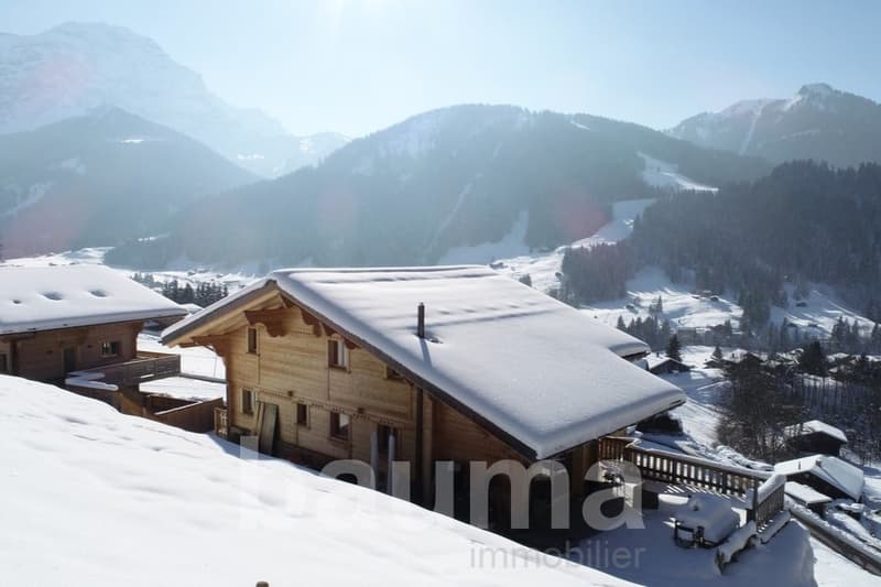 Chalet de deux logements (6)