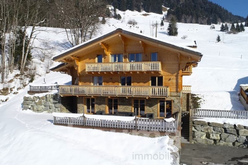 Chalet de deux logements (1)