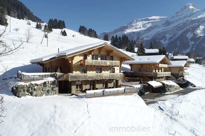 Chalet de deux logements (13)