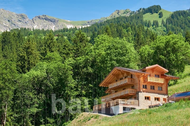 Chalet de deux logements (2)
