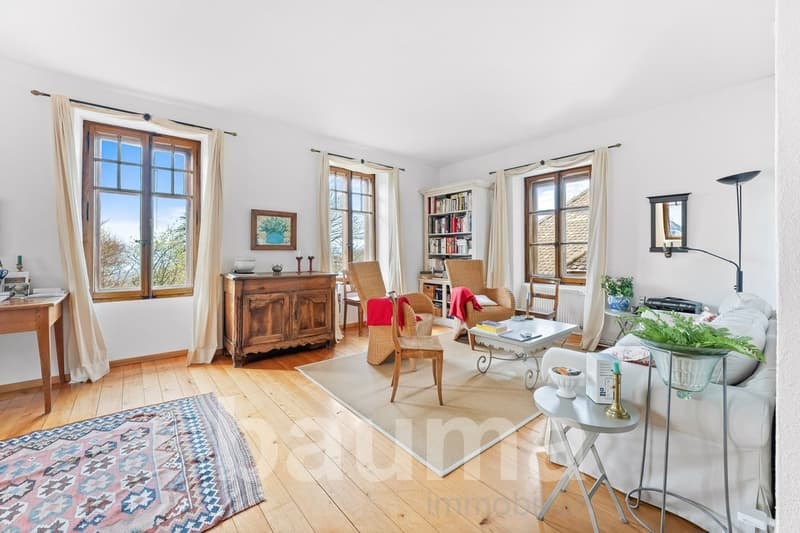 Maison de charme, lieu particulièrement calme (8)