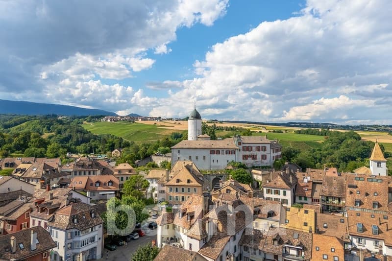 Majestueuse maison de caractère de 10 pièces à Aubonne (2)