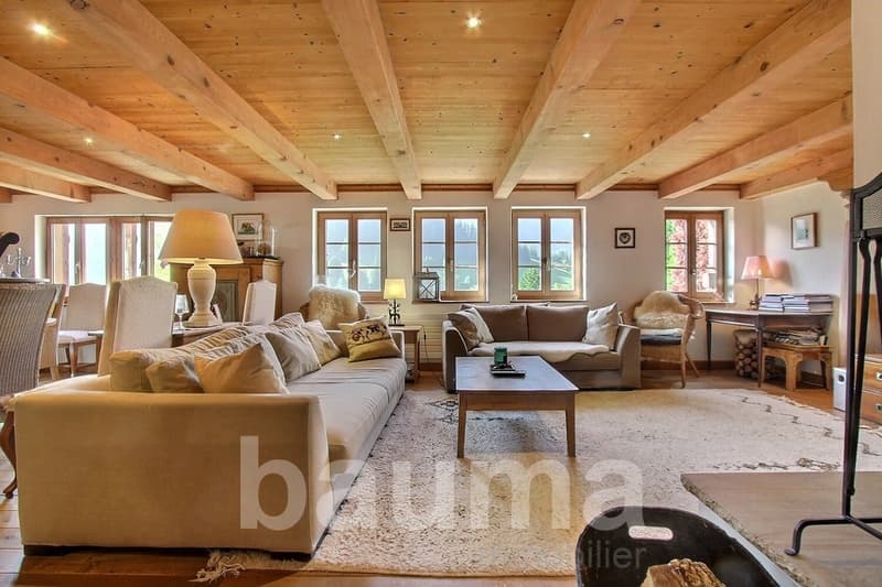Chalet les Herbelands - 2 logements (6)