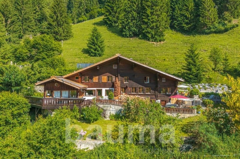 Chalet les Herbelands - 2 logements (1)