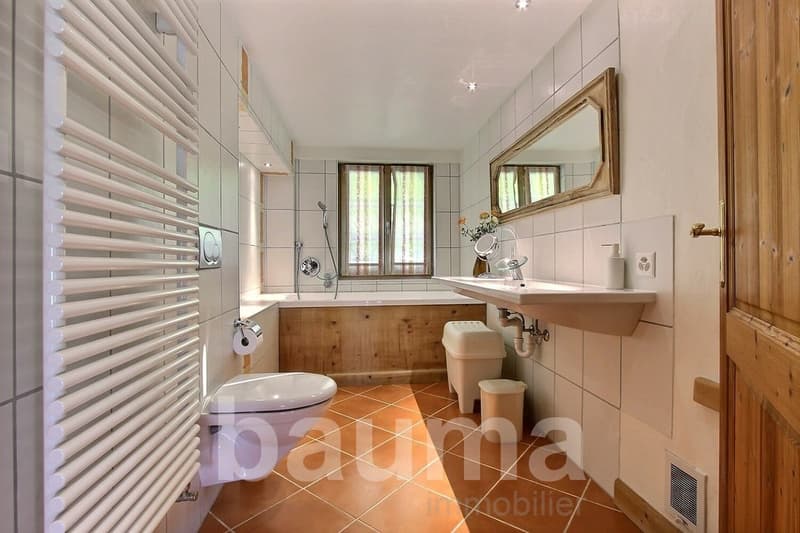 Chalet les Herbelands - 2 logements (10)