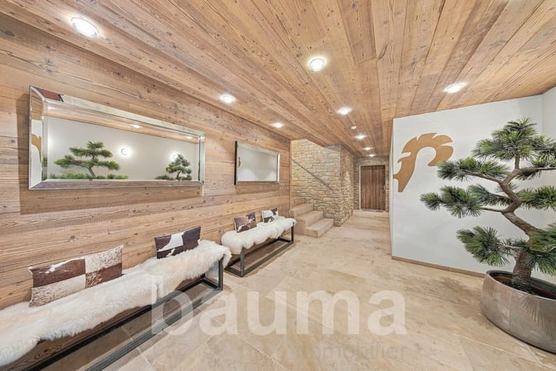 Appartement de prestige au pied des pistes avec vue panoramique (9)