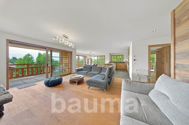 Appartement de prestige au pied des pistes avec vue panoramique (4)