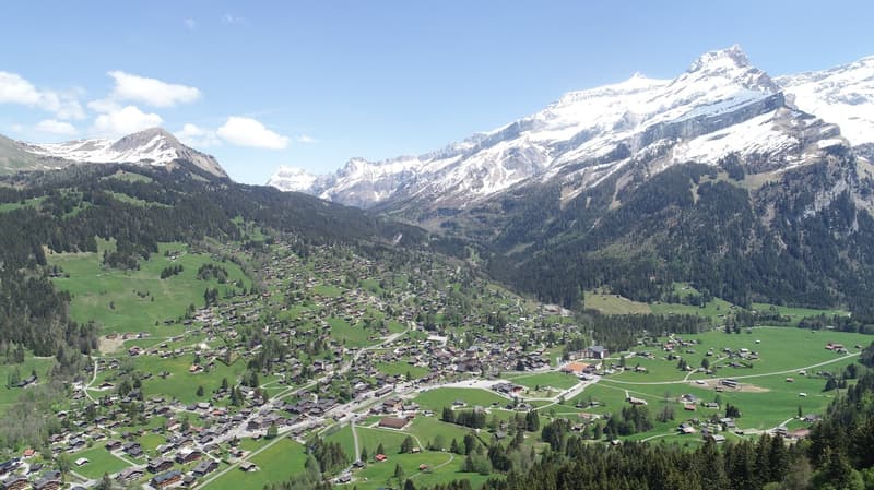 PLUSIEURS LOGEMENTS À LOUER (1)