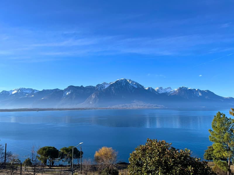 Appartement de 3.5 pièces au 4ème étage avec vue sur le lac. (10)
