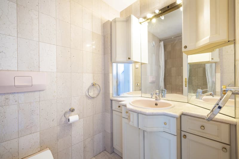 Au bord du lac - Beau 3.5 pièces en duplex (7)