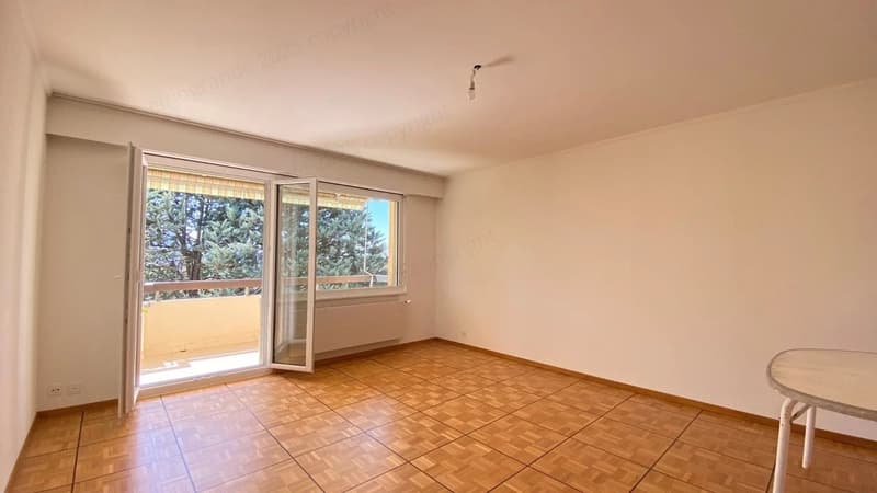 Superbe appartement lumineux de 2,5 pièces, orienté plein Sud, au dernier étage avec ascenseur. (10)