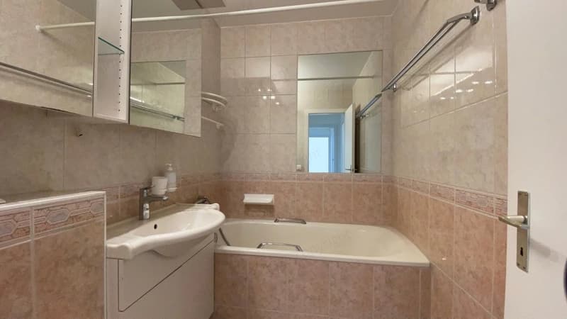 Superbe appartement lumineux de 2,5 pièces, orienté plein Sud, au dernier étage avec ascenseur. (6)