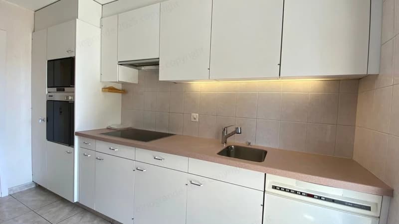 Superbe appartement lumineux de 2,5 pièces, orienté plein Sud, au dernier étage avec ascenseur. (3)