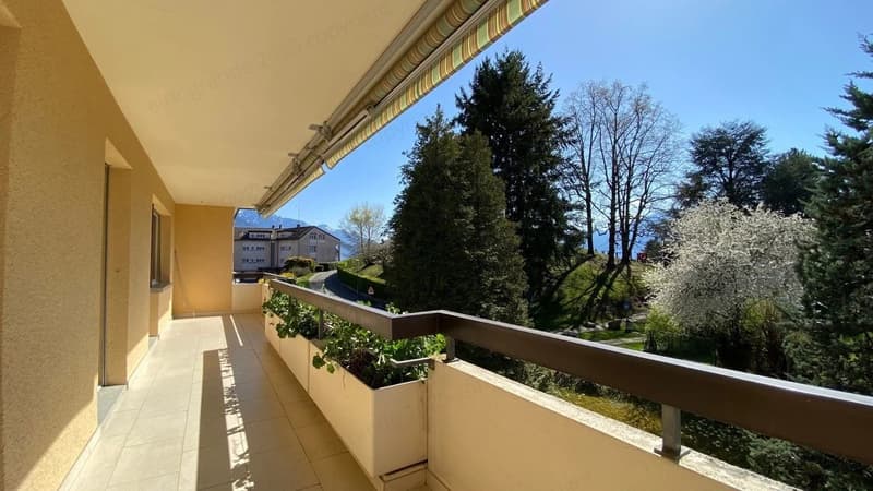 Superbe appartement lumineux de 2,5 pièces, orienté plein Sud, au dernier étage avec ascenseur. (7)