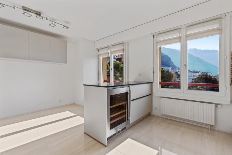 Bel appartement spacieux de 6.5 pièces de 175m2 au 8ème étage. (6)