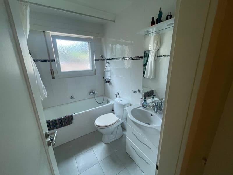 Appartement de 1.5 pièces au 1er étage (3)