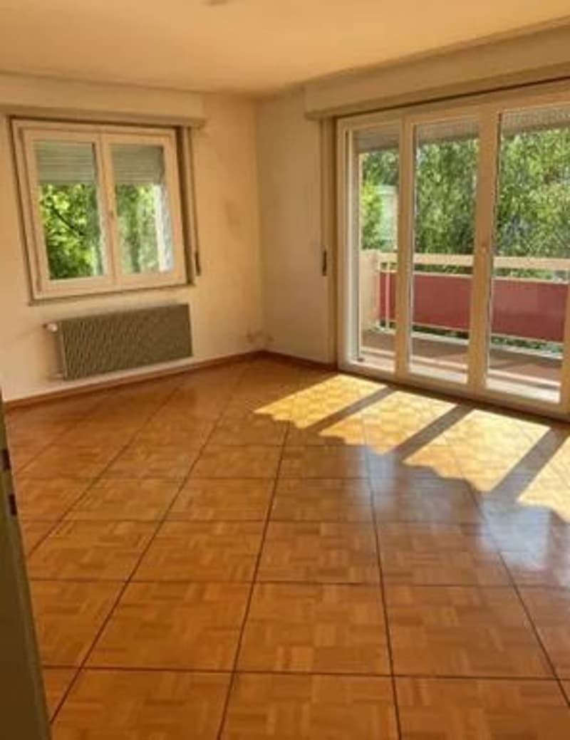 Appartement de 3 pièces au 2ème étage (3)