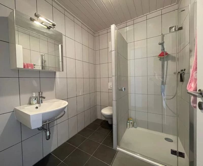 Appartement de 3 pièces aux combles situé au centre-ville de Blonay avec une magnifique vue lac. (9)