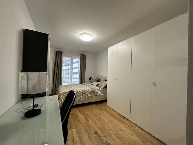 Appartement de 4.5 pièces au rez-de-chaussée (5)