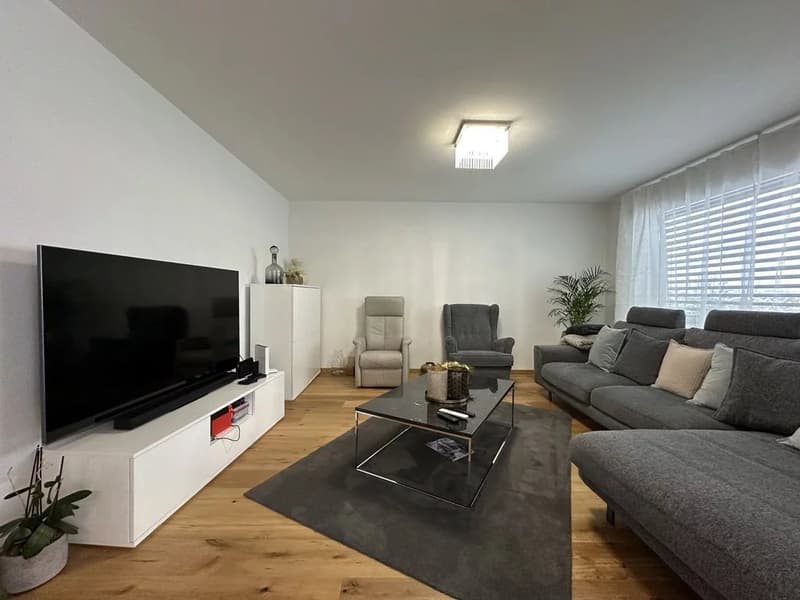 Appartement de 4.5 pièces au rez-de-chaussée (2)