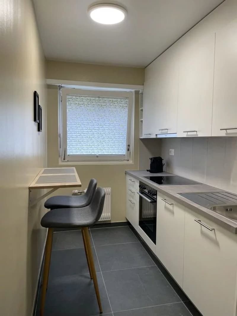 Appartement meublé de 2.5 pièces au 4ème étage. (9)