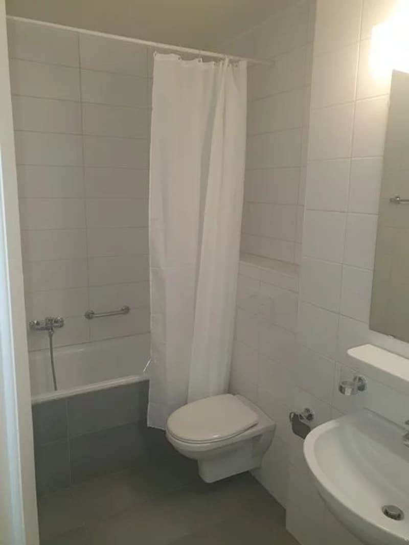 Appartement de 2,5 pièces au 3ème étage (3)