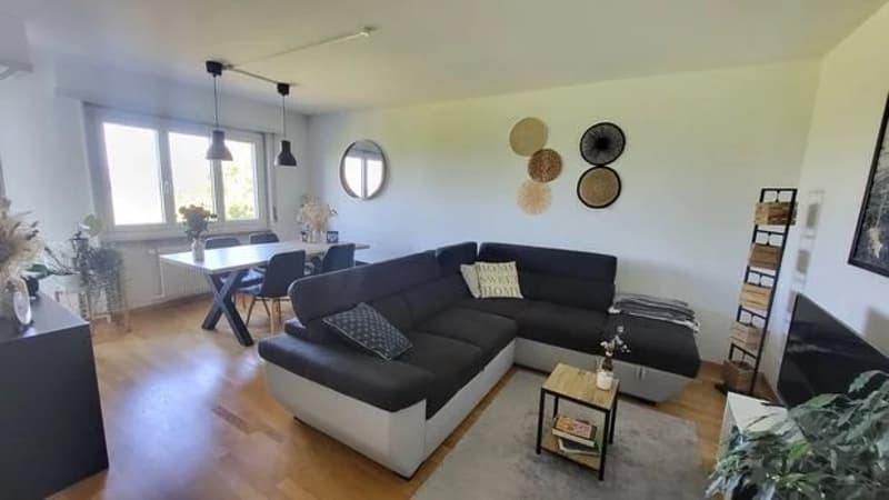Appartement de 2 pièces au 2ème étage (2)