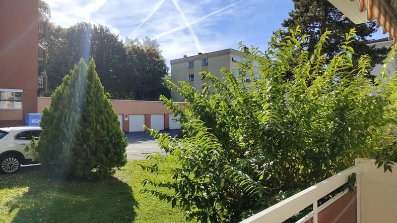 Appartement lumineux de 3 pièces au rez-de-chaussée (9)
