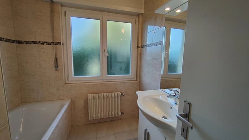 Appartement lumineux de 3 pièces au rez-de-chaussée (7)