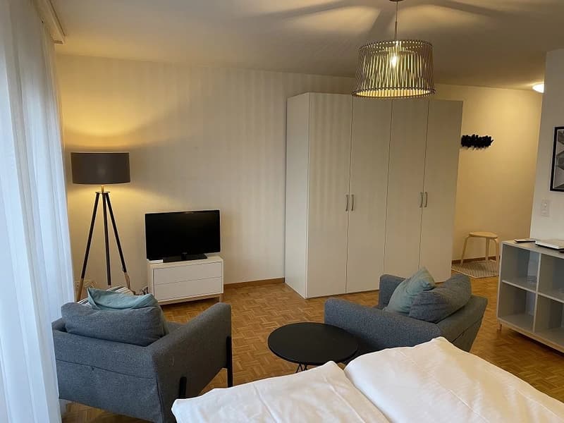 Appartement d'une pièce au 4ème étage (3)