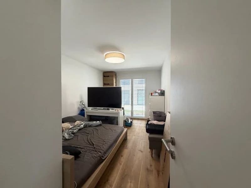 Bel appartement de 4.5 pièces au rez-de-chaussée avec jardin privatif (5)