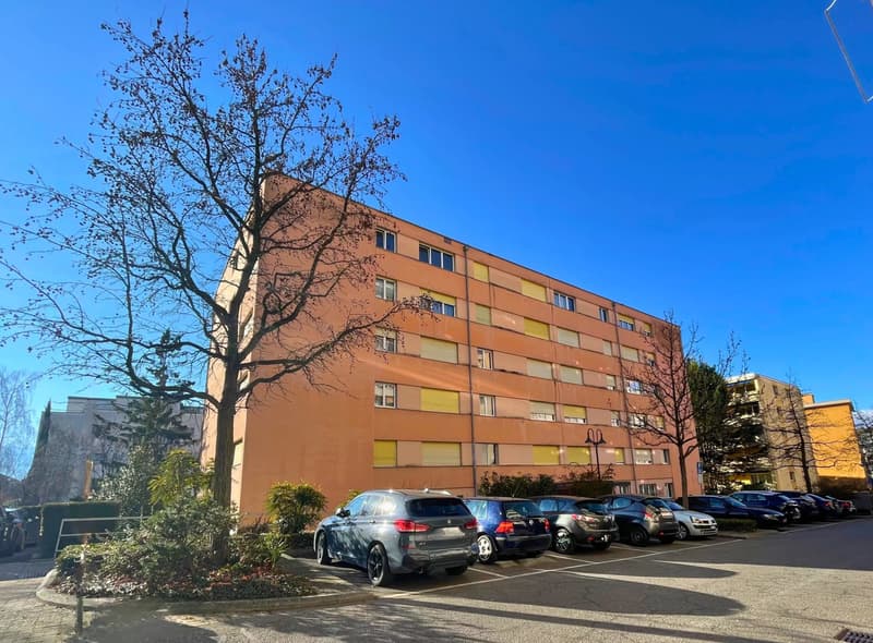 Appartement de 2 pièces au rez inférieur. (7)
