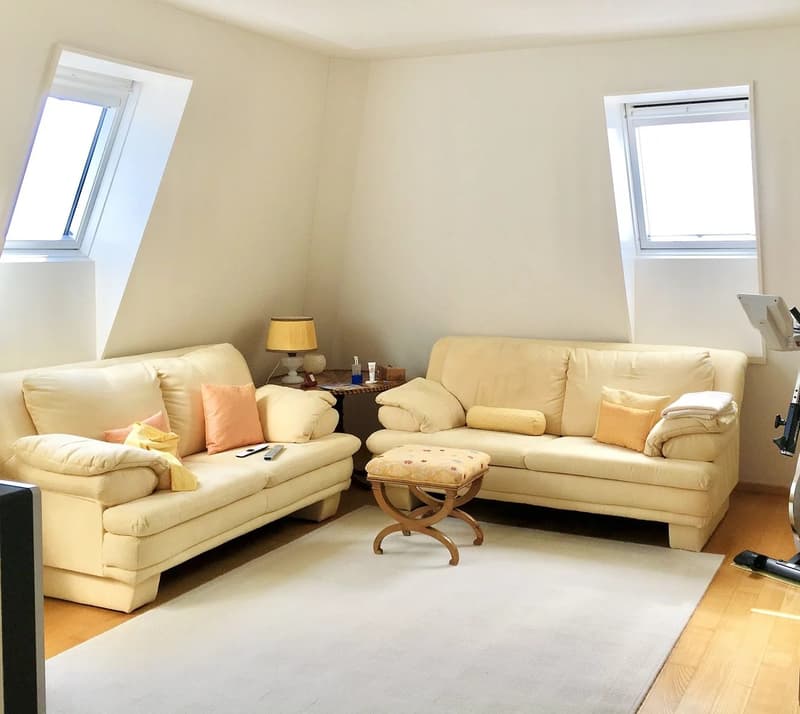 Appartement de 6.5 pièces en duplex et aux derniers étages d'un immeuble résidentiel (9)