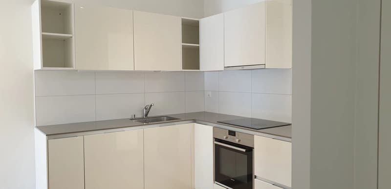 Appartement de 2 pièces au 1er étage entièrement rénové. (4)