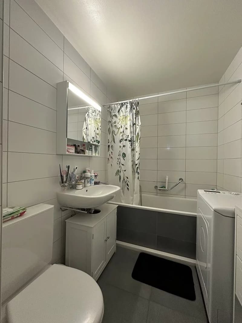 Appartement de 2 pièces au rez-supérieur (4)