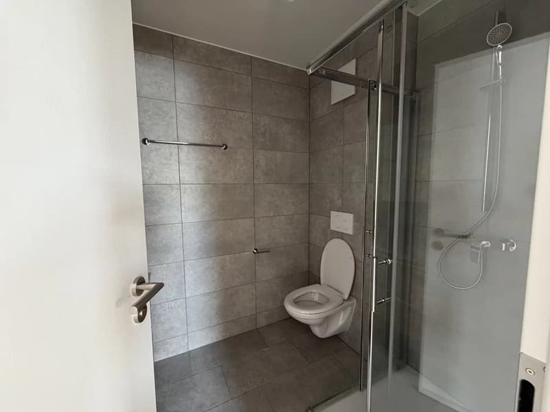 Bel appartement de 3.5 pièces au 2ème étage avec cachet (4)