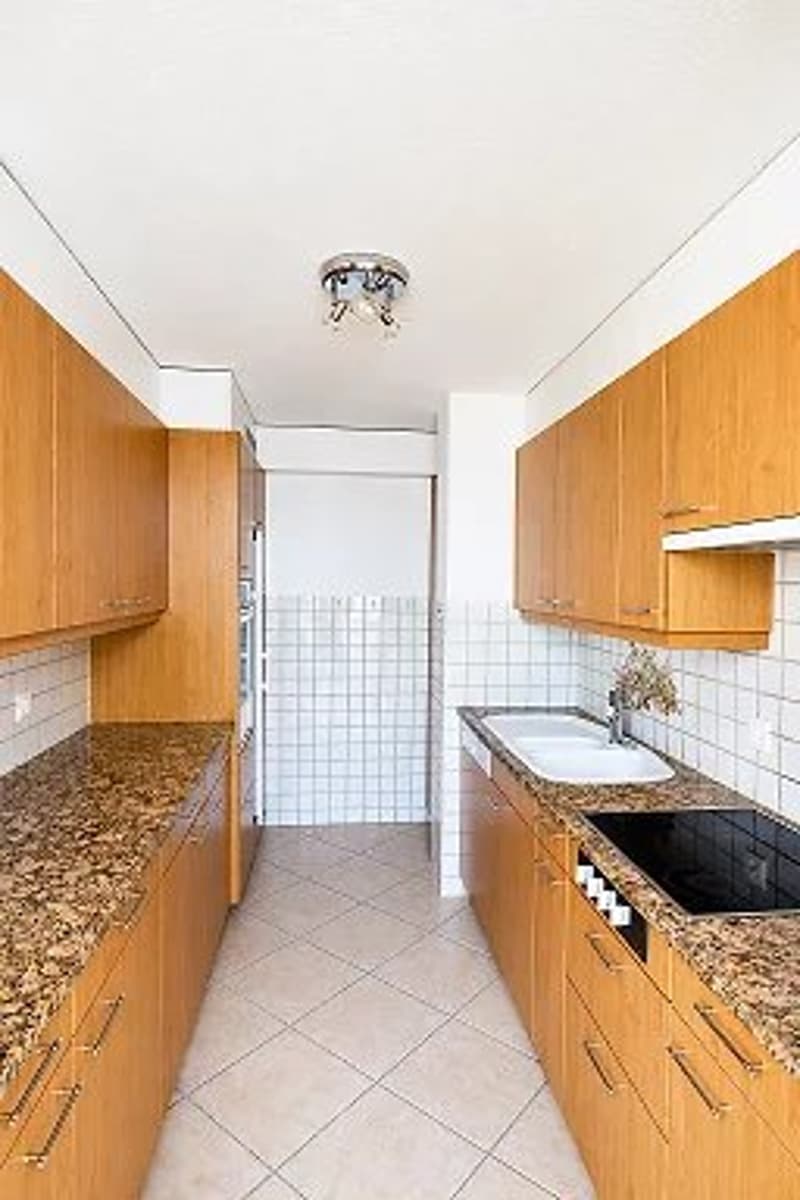Un spacieux appartement de 3 pièces de 120 m² situé au 2ème étage, disposant d'un rooftop et offrant une vue imprenable sur le lac. (5)