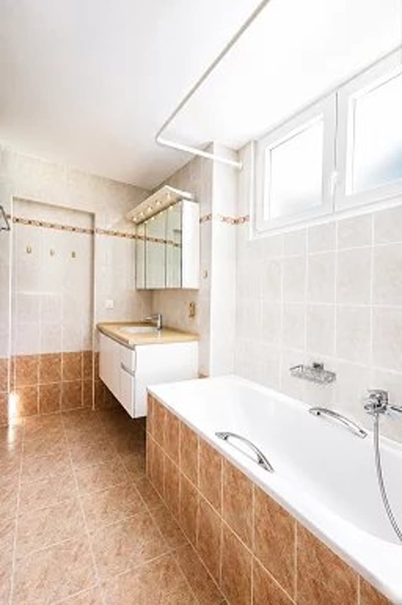 Un spacieux appartement de 3 pièces de 120 m² situé au 2ème étage, disposant d'un rooftop et offrant une vue imprenable sur le lac. (6)
