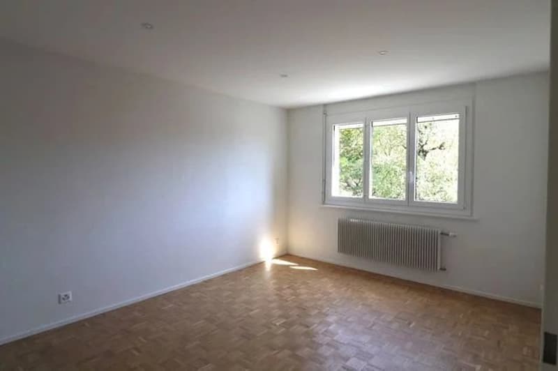 Bel appartement rénové de 3 pièces au 4ème étage. (5)