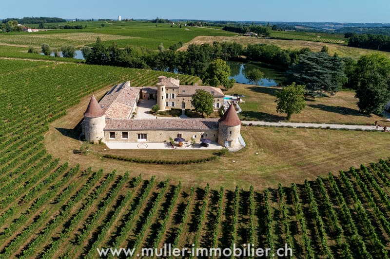 Magnifique domaine avec 15 hectares de vignoble à 1h de Bordeaux (1)