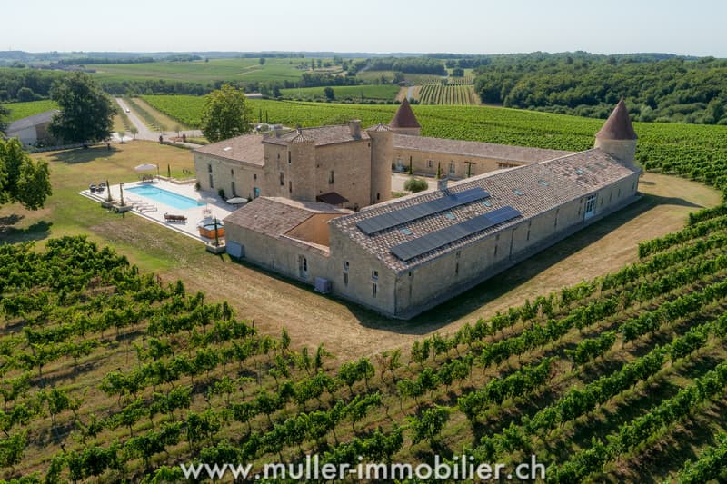 Magnifique domaine avec 15 hectares de vignoble à 1h de Bordeaux (2)