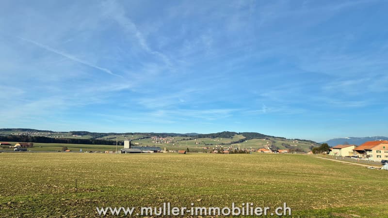 Grande ferme à rénover à quelques minutes de Bulle (13)