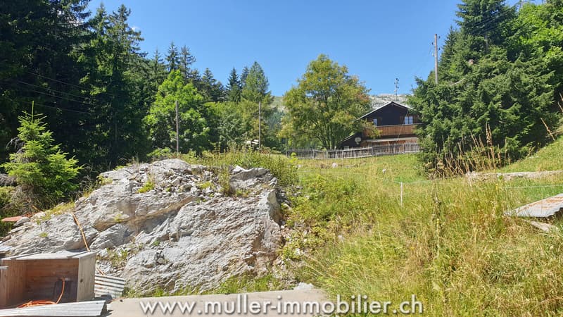 Terrain constructible avec permis en force à Savièse (8)