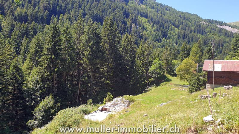 Terrain constructible avec permis en force à Savièse (2)