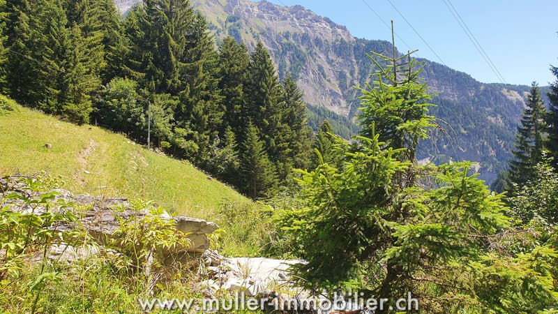Terrain constructible avec permis en force à Savièse (7)