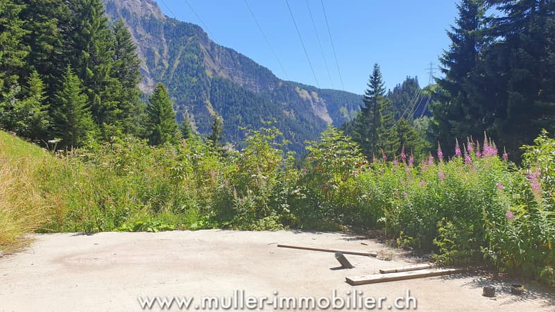 Terrain constructible avec permis en force à Savièse (5)